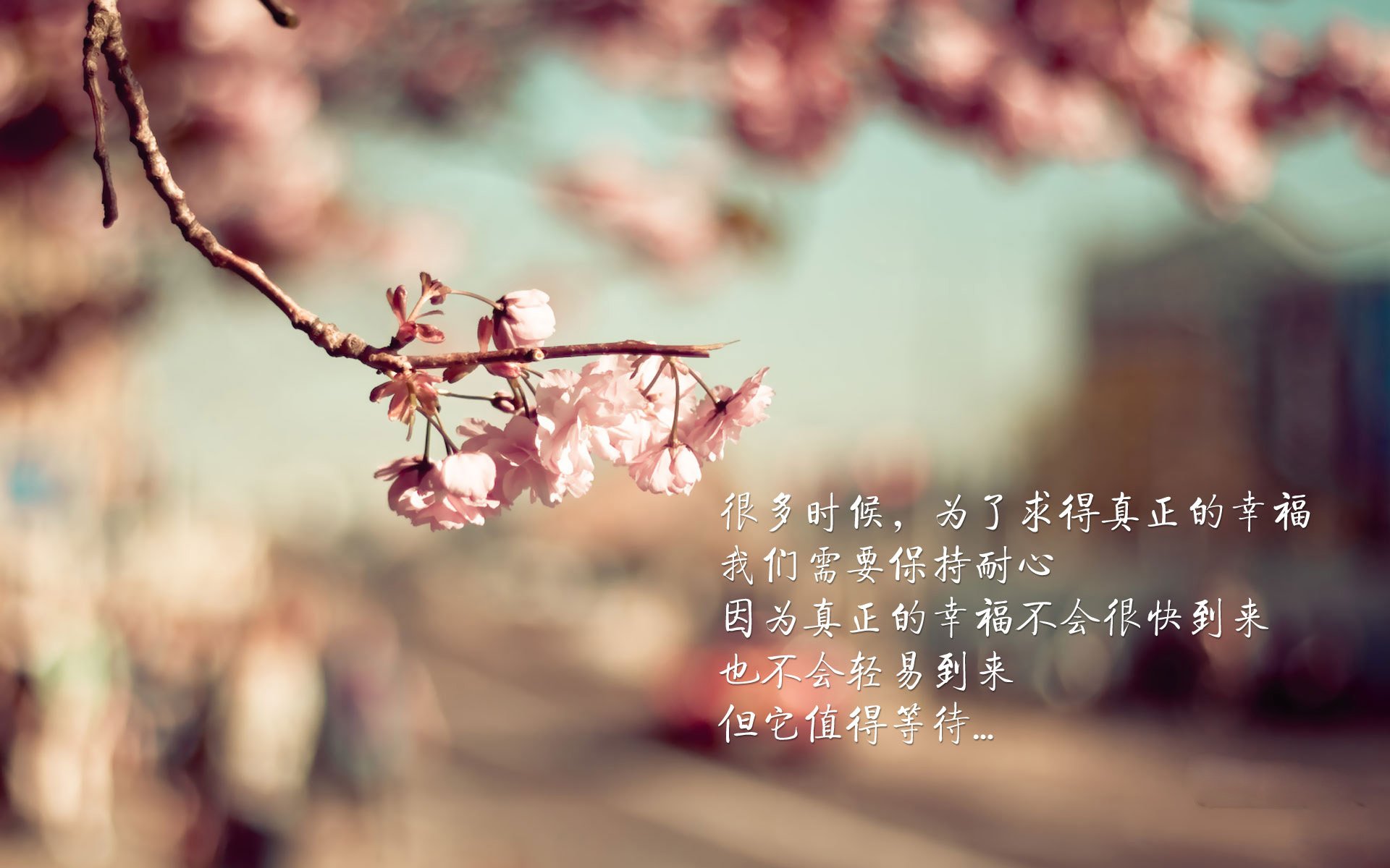 开云网页版-_创新篮球训练基地：未来篮球巨星的摇篮_，创星篮球训练营