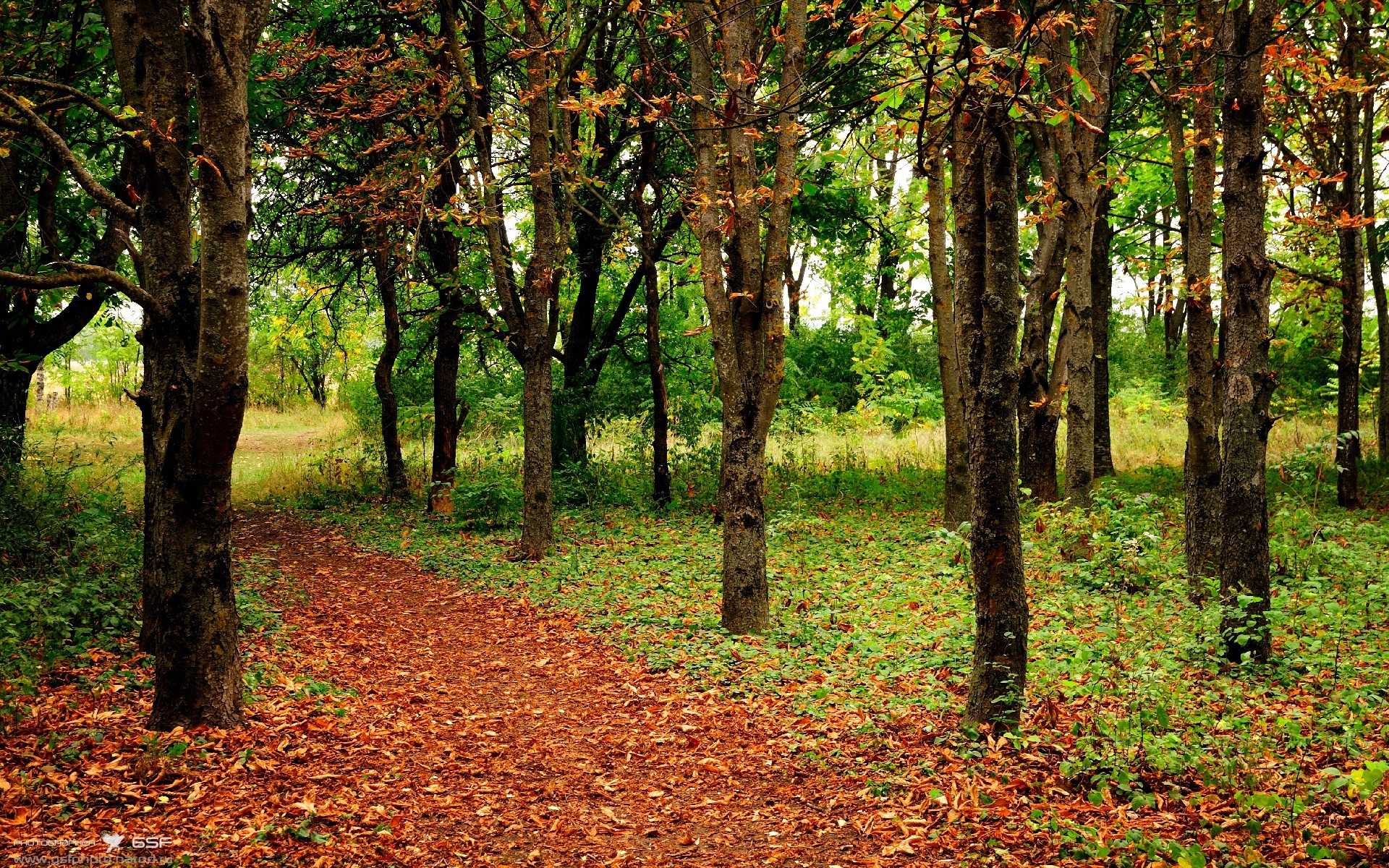 开云平台-《王者荣耀年度总决赛，强强对决震撼全场》，今年王者荣耀总决赛