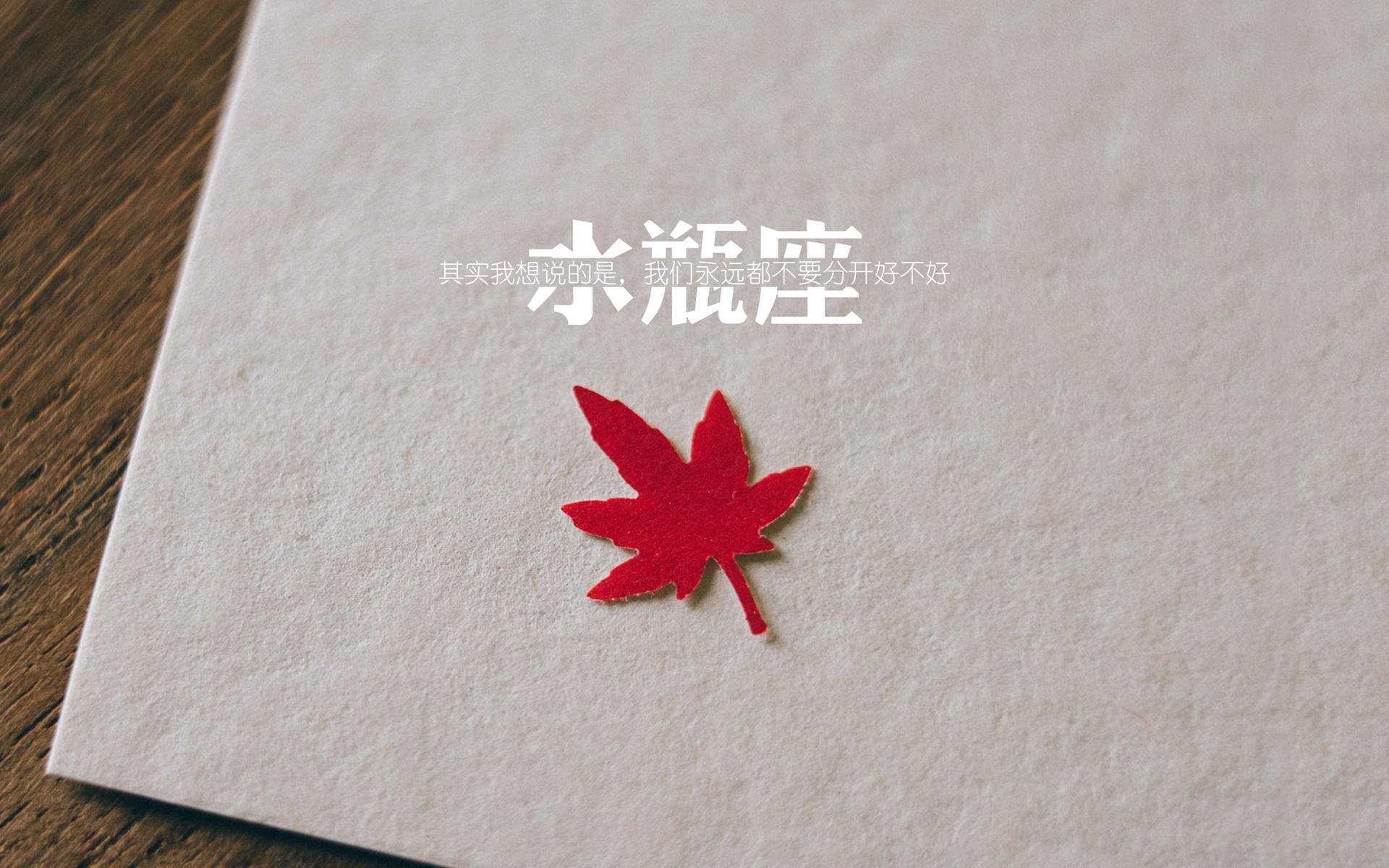 开云全站-克罗地亚骑手吉塔·日特科维奇在2024年国际马术联合会世界障碍赛中获得第八名，展现坚韧精神。