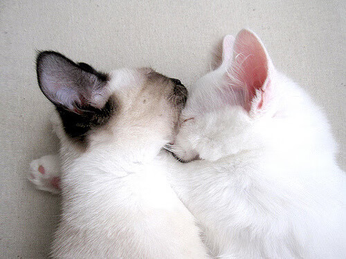 开云APP-体育新闻中心推动基层体育内容数字化升级，体育新闻中心推动基层体育内容数字化升级的措施