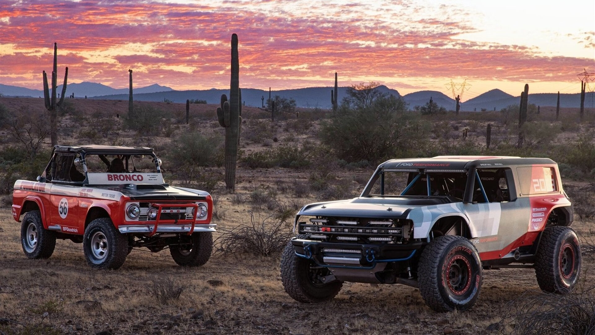 Kaiyun APP-“华金·托比利亚的全能防守与强大领导力，成为美洲狮队的战术支柱”