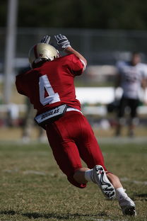 开云官网-足球青训进入社区模式拓展非专业球员参与渠道，足球俱乐部青训什么条件